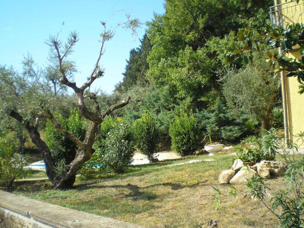 Villa Olcimia Capena Dış mekan fotoğraf