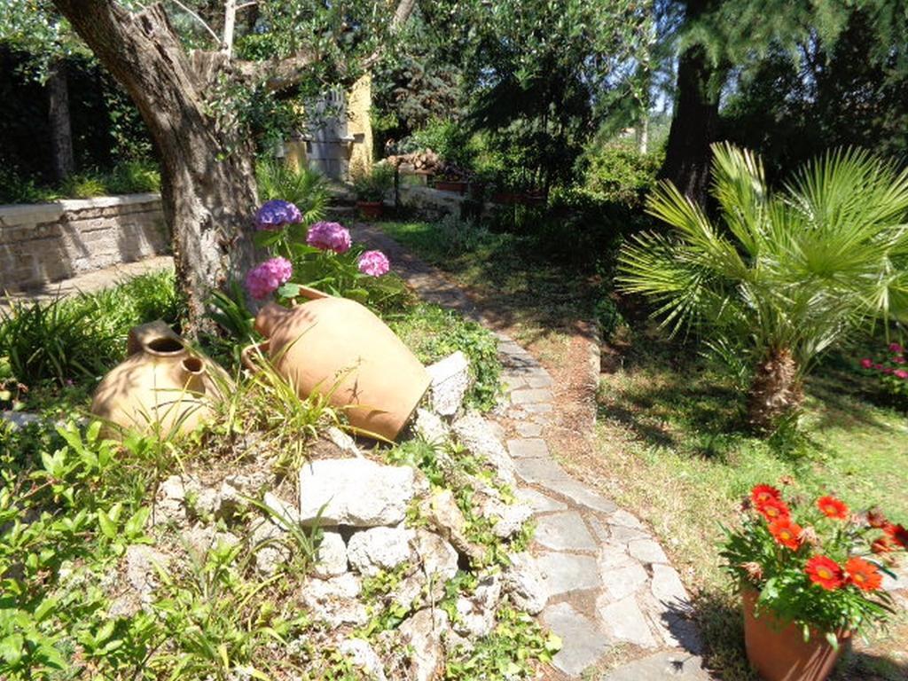 Villa Olcimia Capena Oda fotoğraf